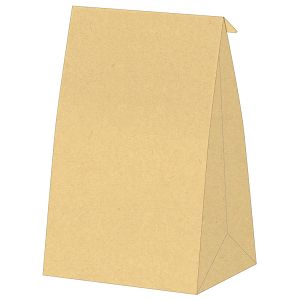 牛皮紙立體袋 A4(24×34×4cm)
