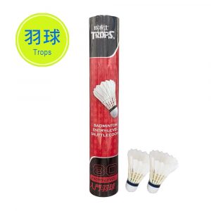 成功 45080 入門羽球 (練習級) (12入)